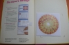 Mandalas in Acryl / Norbert Lösche (Topp - 2008)