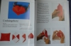 Origami für Kinder / Monika Pilger (Englisch - 2000)