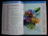 Glamour pur / Angelika Ruh (Topp - 2004)