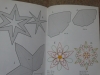 Weihnachtssterne zauberhaft schön / K. Lützner (2002 Christophorus)