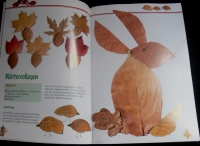 Tolle Bastelideen mit Naturmaterial (Weltbild - 1998)