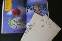 Window Color - Die schönsten Blumen & Ornamente (Schwager&Steinlein 2000)