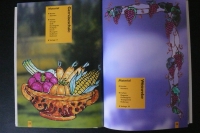 Window Color - Die schönsten Blumen & Ornamente (Schwager&Steinlein 2000)