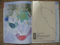 Weihnachtsbastelspaß / Pia Pedevilla (Topp 2007)
