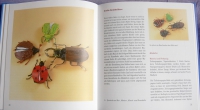 Papier schöpfen, formen und gestalten (Freies Geistesleben - 2001)