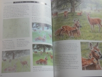 Zeichnen lernen - leicht gemacht / Angela Gair  (2004 Parragon)