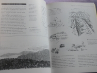 Zeichnen lernen - leicht gemacht / Angela Gair  (2004 Parragon)